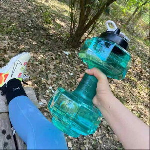 EH[^[_x d  e {g gѕ֗ tBbglX ؗ̓Abv g[jO jp ̘r  _CGbg   