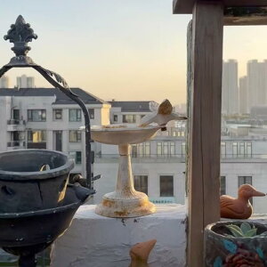 o[h tB[_[ X^h  S O K[fjO [sA AeB[N Vv  fR[V  ֗ CeA