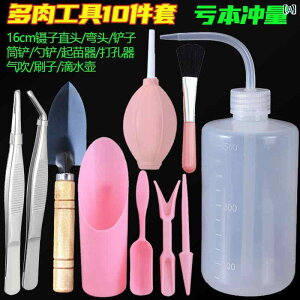 |  Zbg K[fjO ƒ؉ pi H c[ Vx XRbv sZbg uV GAu[ XeX`[   c A  yN Ԓd Â 뉀 