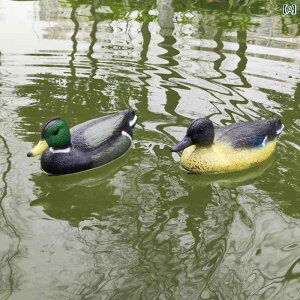 K[f u O ɕׂ Aq IuWF  A H|i r  iϗp  ANZT[  IX X yA 