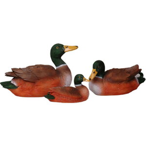 K[f u O ɕׂ Aq  IuWF r  iϗp  ANZT[ A  傫 eqyA t@~[