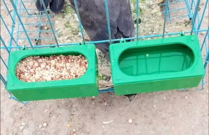  a tB[_[ IE юU h~ ݂艺 ^ ^ C[ {bNX Vv [ P[W  ybg CR K[f