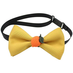 lN^C q j̎q ̎q LbY   EGfBO p[eB[ p ʐ^ Be ߑ t[c ʕ   a ptH[}X Xe[W ؍ ڂ   s