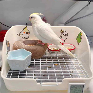  a CR IE ڂh~ юUȂ o[htB[_[ H Ԓ |₷ 􂦂 bN tbg^Cv   sN