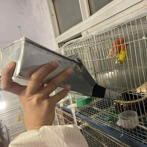  a o[htB[_[ e _ {B pi ϋv [ IJCR IE 傫TCY OpVx 36cm ׂ[