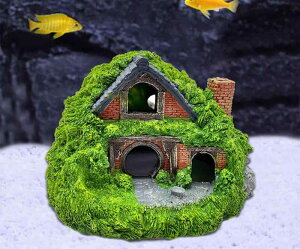 アクアリウム オブジェ 水槽 内装 インテリア 水族館 装飾 小さめ 風景 穴 樹脂 洞窟 爬虫類 魚 タンク 隠れ家 シュミレーション レイアウト ガーデン