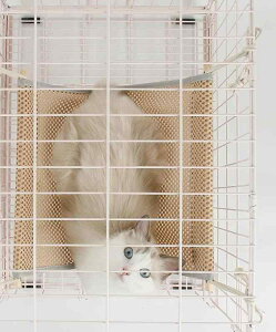 猫 ハンモック ケージ ペット用品 ニャンモック 夏 メッシュ 通気性 木の棒 紐 結ぶ フック 取付簡単 吊り下げ 寝床 無地 カーキ ピンク グレー