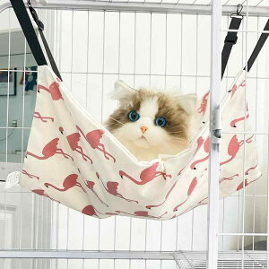 L nbN P[W ybgpi jbN tďH~  LoX  {A tbN tȒP  ݂艺 Q 킢 lR ETM `FbN  O[ 