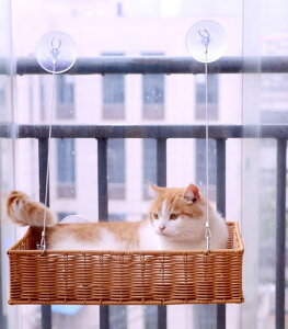 L nbN P[W  KX ybgpi jbN  JS z tbN tȒP Ђ ۉ  Q ݂艺  F