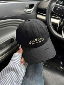 Lbv fB[X  JWA  _[WH ؍ tFCX Ăh~