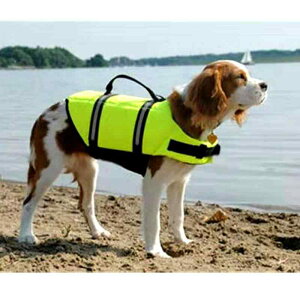 CtWPbg p  ybgpi Ԕ ʃt@Xi[ obN   [ht V r[` JWA {[  n  IW 