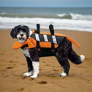 CtWPbg p ̂  ybgpi  ʃt@Xi[ obN   [ht Ԕ V r[`  IW