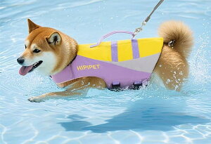 CtWPbg p  ybgpi ʃt@Xi[ obN   [ht V r[` IbNXtH[h JWA p  