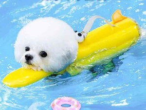 CtWPbg p ̂  ybgpi ʃt@Xi[ obN   [ht ʋC h  IbNXtH[h V r[` 킢 傫TCY  F