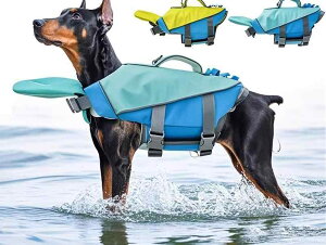 CtWPbg p ̂  ybgpi ʃt@Xi[ obN   [ht V r[` JWA n 傫TCY   F