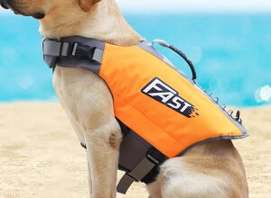 CtWPbg p  ybgpi ʃt@Xi[ obN   [ht V r[` ʋC JWA 傫TCY p T IW  