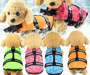 CtWPbg p  ybgpi ʃt@Xi[ obN   [ht Ԕ V r[` JWA n 傫TCY  IW  