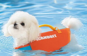 CtWPbg  ^ 傫TCY  V ybg  ʋC  Mh~ nh |GXe v[ r[` y  