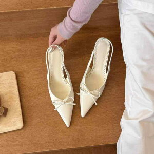 obNXgbv pvX ؍ fB[X PU pegU[ { |CebhgD XeBbgq[ ItBX p[eB[ t`   sN