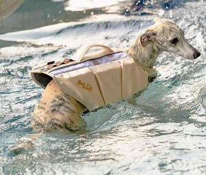 CtWPbg   ybg XCEFA ^ 傫TCY Mh~ nh  h  ˃Xgbv r[` V Vv   