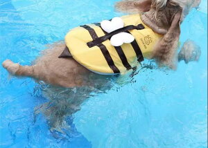  CtWPbg ̂ ^ 傫TCY ybg  XCEFA Mh~ nh ؍ 킢 F I r[` V R[M[ S[fgo[ gCv[h