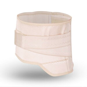  T|[^[ xg  [ ʋC EGXg jp X`[v[g  fBXNT|[g ۉŒ l 傫TCY x[W