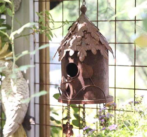 K[f I[ig ݂艺 S Be[W g{ ̑   O fR[V ANZT[ 뉀 oRj[  KF