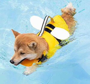  CtWPbg ̂ 킢  I Vg H  ybg   U v[ V W[ |jA R[M[   EFA 傫TCY `FbN p N} F 