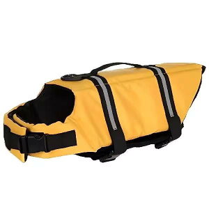 CtWPbg   傫TCY ybg   U v[ V W[ ^ ^ ^   EFA  obN ʃt@Xi[  IW F 