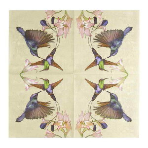 y[p[ivL  e[uR[fBl[g ivL Ԓ Jt t e[uEFA vg   o^tC 킢