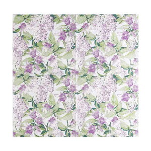 y[p[ivL  e[uR[fBl[g ivL ԕ  m Xg JtF ze ؟ e[uy[p[ 20