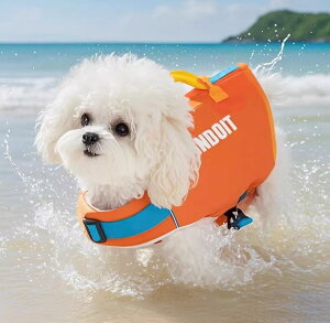 CtWPbg   傫TCY ybg  U v[ V W[   EFA  ʃt@Xi[ obN vg p IW 