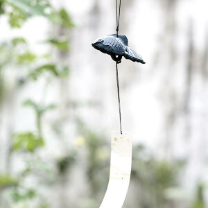  S  oRj[ O   x  F uYF Vv CeA  K[f AeB[N AEghA