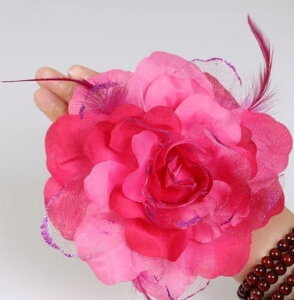 RT[W  H  wAANZT[ Nbv S  i fB[X  \ _Xߑ 傫  sN 