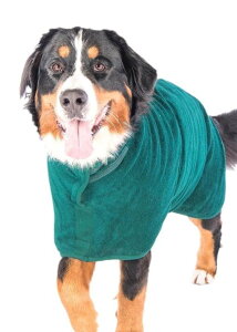 oX[u ybg  L  oX^I  z ʋC ʃt@Xi[ 傫 ӂ  g~O C Vv    n