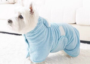 oX[u ybg  L  oX^I  z ʃt@Xi[ t[h ӂ  g~O C Vv 킢   sN