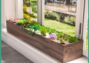 K[fjO v^[ Op h  t[{bNX ` A Aؔ oRj[  C Vv  