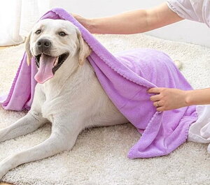 ybg oX^I  L   _炩  z 􂦂 ӂ тɂ g~O C Vv   sN n