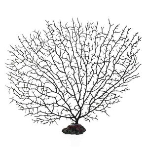 ANAE IuWF  I[ig i  CAEg CeA _炩 PVC ӏ Mы ƒp TS   