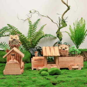 u  gC  C   Aؔ  K[f O ct  CeA Vv Zbg Jg[ i`J[ 