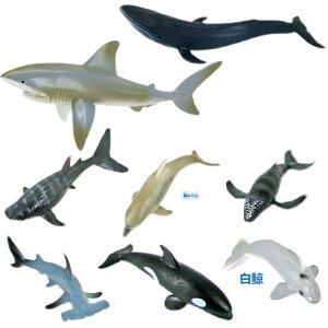 C̐  A  tBMA zzWU CJ V` q  v[g RNV CeA l` vX`bN