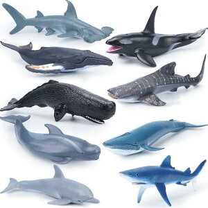 C̐  A tBMA zIWU CJ }bRENW q  v[g ~j`A l` RNV CeA PVCS