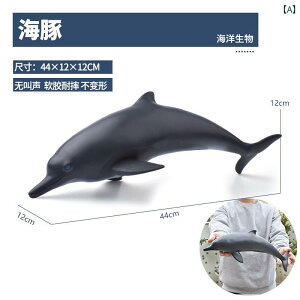 �C�̐����� �������� �傫�� �_�炩�� ���A�� �t�B�M���A �C���J �T�� �N�W�� ���� �q�� ���� �v���[���g �z�r�[ �R���N�V���� �C���e���A �͌^