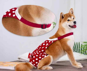  Tj^[ pc X  Jo[ F   킢 { ł v[g 傫TCY K ȒP ֗ [X gCv[h _炩