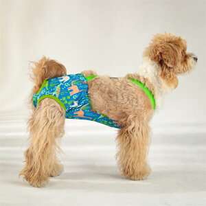  Tj^[ pc 􂦂  Jo[ ybg    F   JWA ʋC  傫TCY bV _炩 킢 }i[EFA