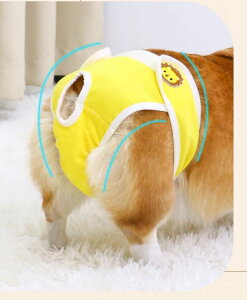  Tj^[ pc ybg  Jo[ X ʋC sN F  Vv CI p_  킢 傫TCY }i[EFA gCv[h  bV ȒP ֗ K Zb