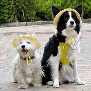   Xq Eɂ  O M ăoe ˕a \h ΍ R  o hbOEFA oPbgnbg ybg L ^ ^ R[M[ }`[Y R[ 킢 U o