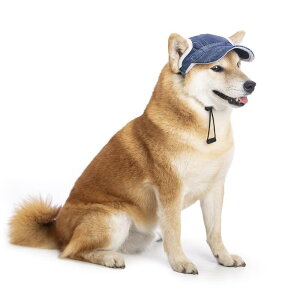   Xq  O M ăoe ˕a \h ΍ R  o ʋC ῂy hbOEFA Lbv ybg L ^ ^ ^ 킢 U o AEghA fj