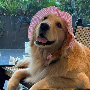   Xq {lbg  O M ăoe ˕a \h ΍ R  ʋC ῂy hbOEFA ybg L ^ ^ ^ 킢 K[[ t U o s