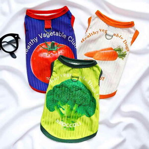  IV ĕ ybg ^  ʋC Ђ  xXg L R[M[ gCv[h JWA DJ [ht 傫TCY ؕ   